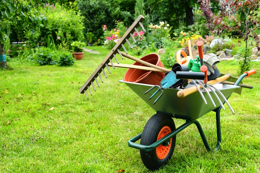 Vous chercher un jardinier ? Maison et Jardin 82 fait le jardinage pour vous à Montauban et Tarn-et-Garonne